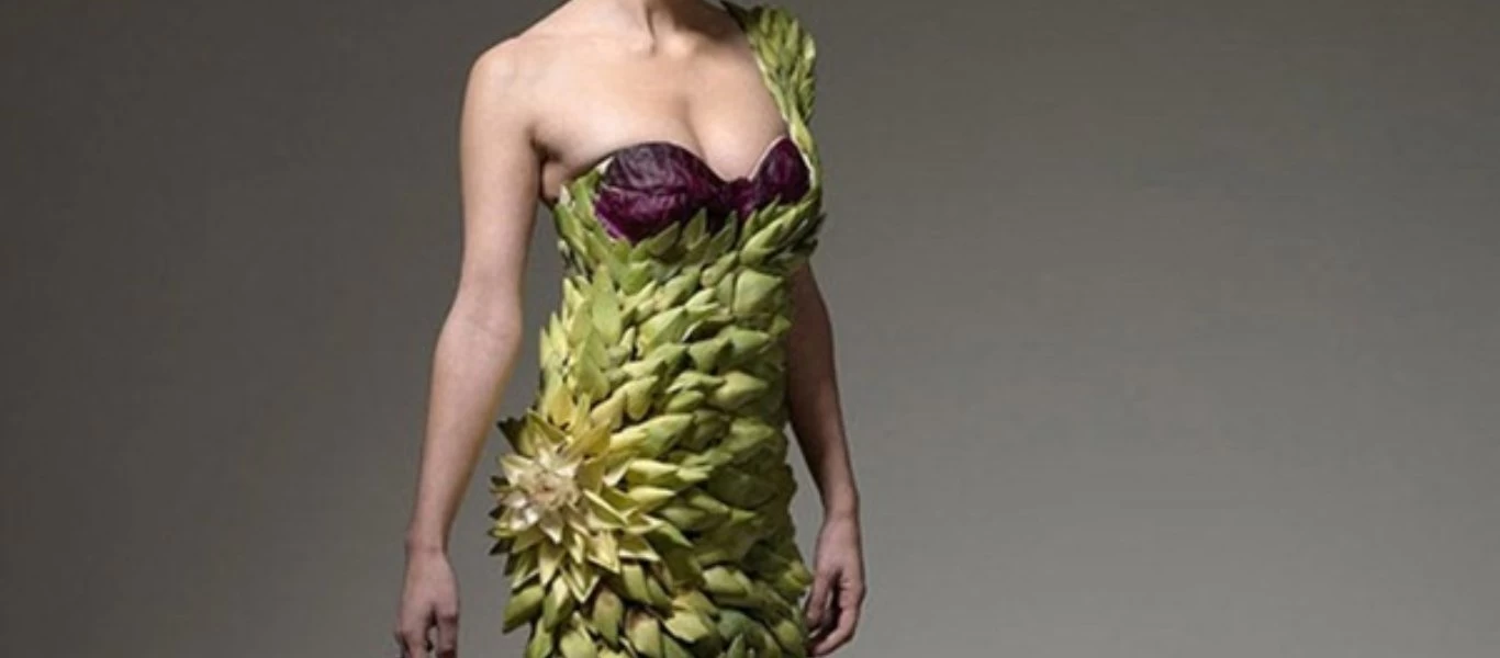 Μπλούζα από πατατάκια - Απίστευτες δημιουργίες που φοράς και τις τρως (φώτο)